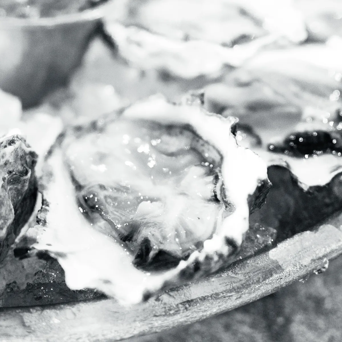 Oyster, San Francisco 2026